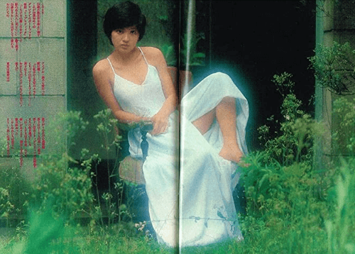 桜田淳子さんの若い頃の画像